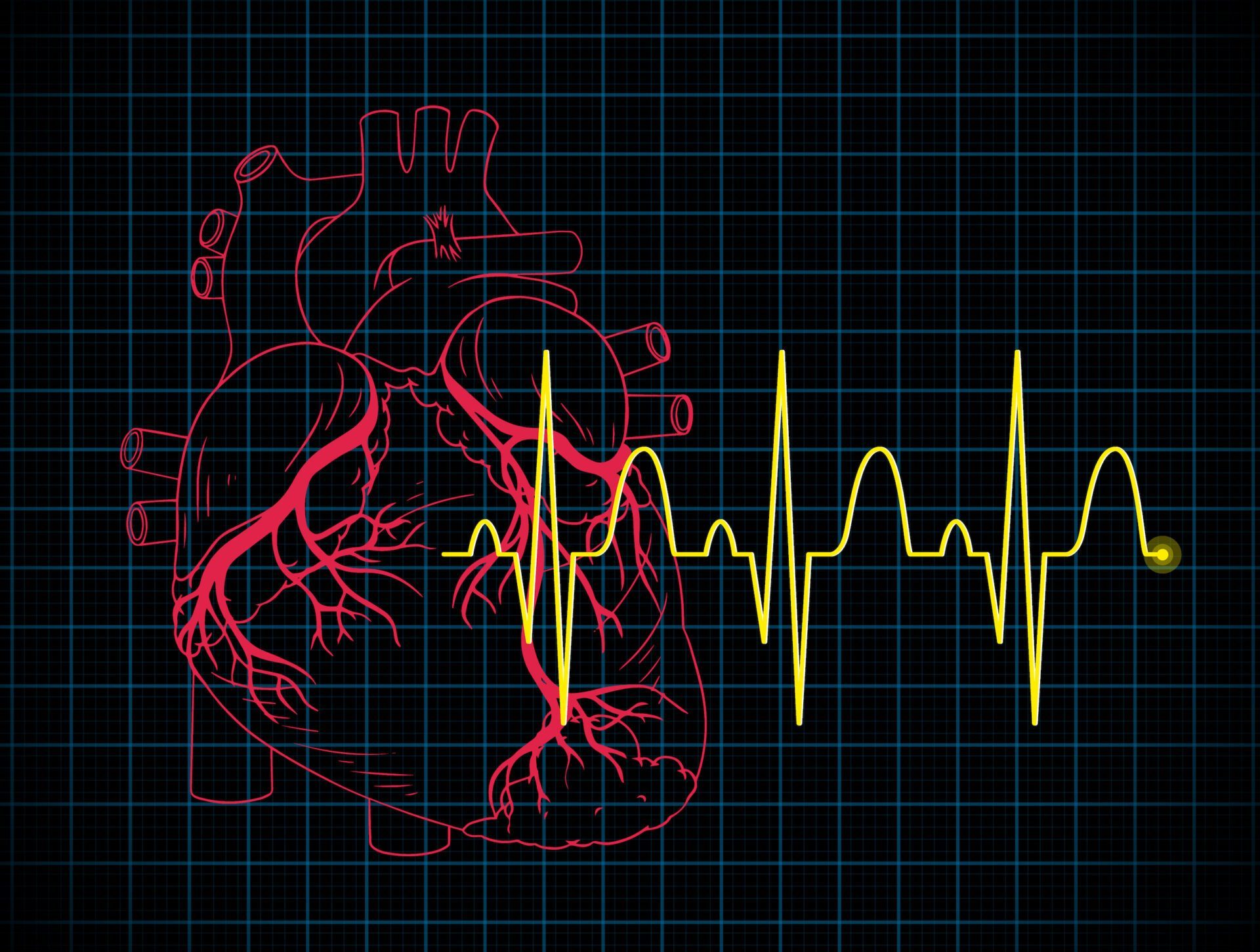Heartbeats of Life: Wellness Lessons from the ECG